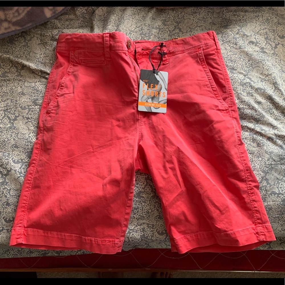 American Eagle Preppy Shorts (sz28)